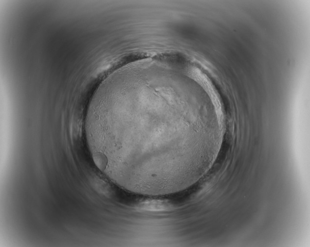 X0000085780499200703161209