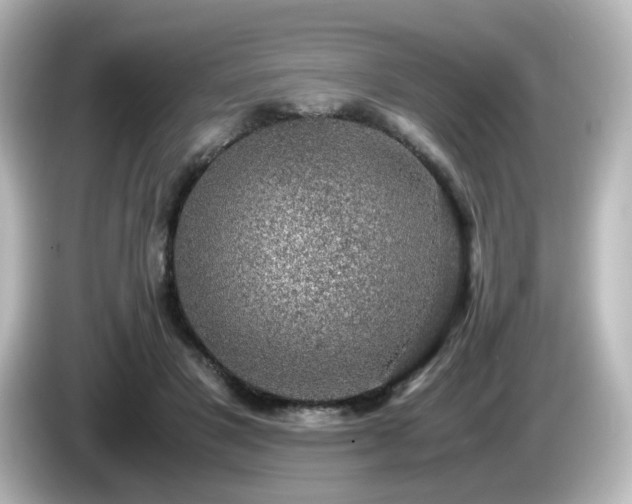 X0000085780501200703161209