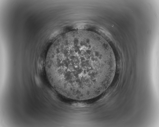 X0000085780503200703161209