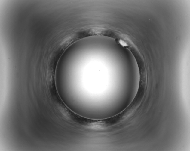 X0000085780505200703161209