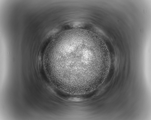 X0000085780506200703161209