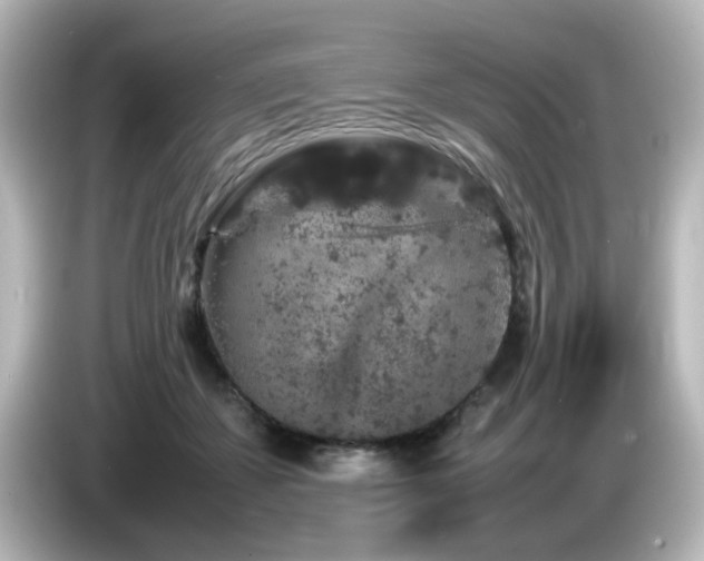 X0000085780507200703161209