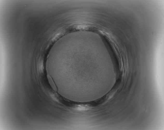 X0000085780508200703161209