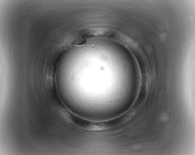 X0000085780510200703161209