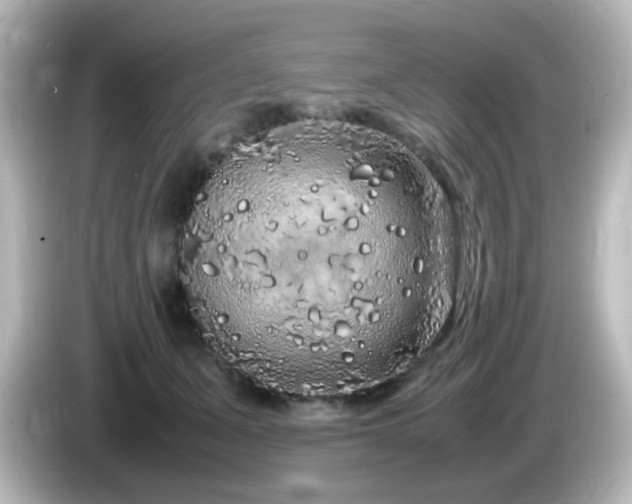 X0000085780511200703161209