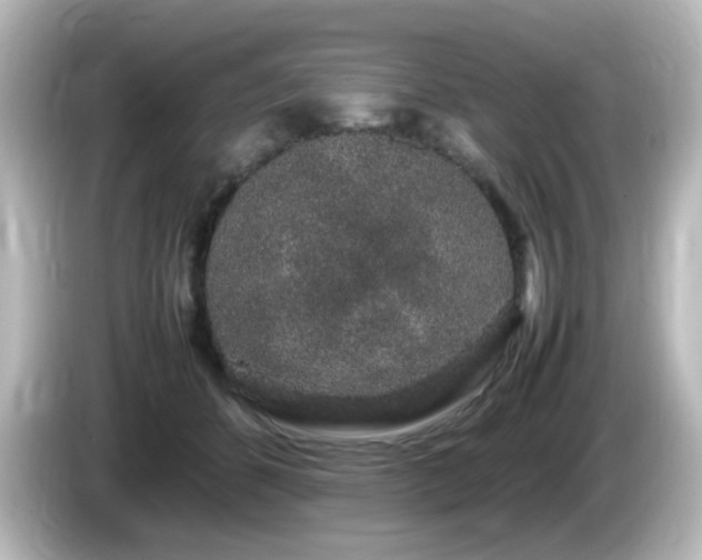 X0000085780512200703161209