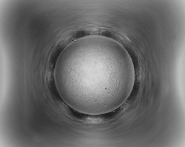 X0000085780515200703161209