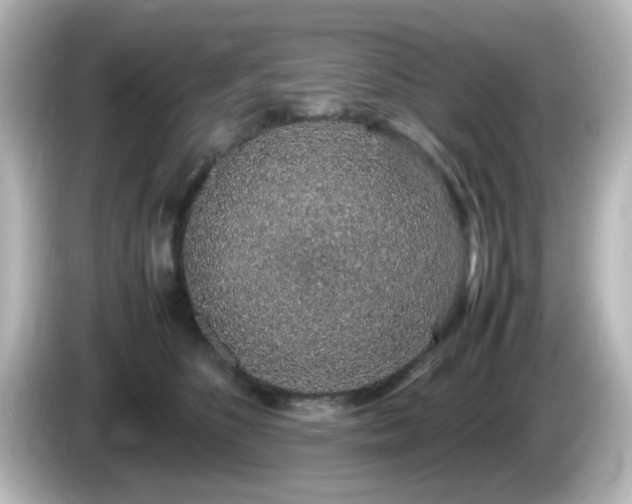 X0000085780516200703161209