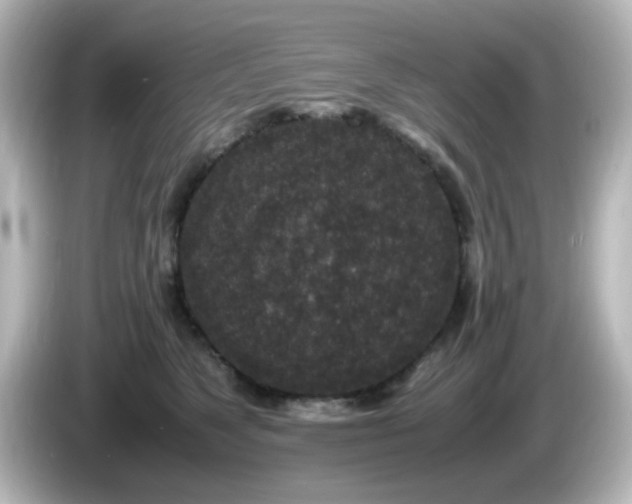 X0000085780517200703161209