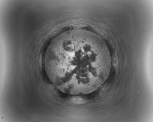 X0000085780519200703161209