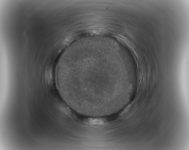 X0000085780520200703161209