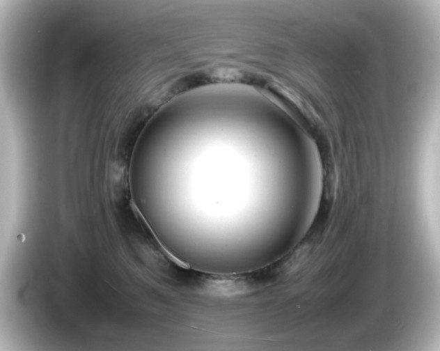 X0000085780521200703161209