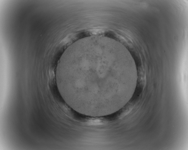 X0000085780523200703161209