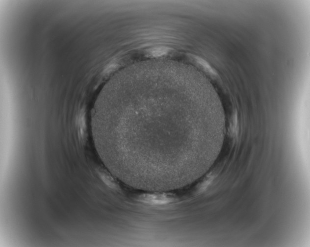 X0000085780524200703161209