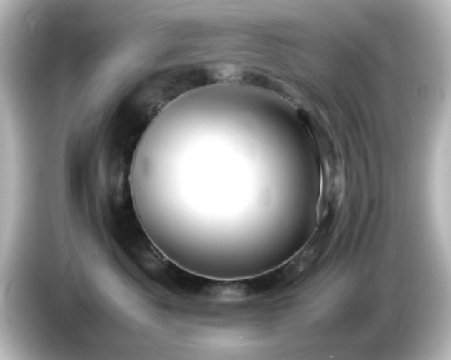 X0000085780525200703161209