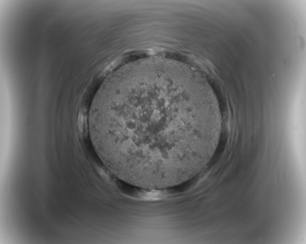 X0000085780527200703161209