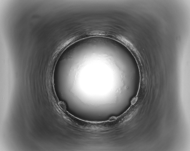 X0000085780529200703161208