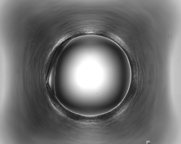 X0000085780530200703161208