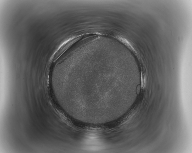 X0000085780531200703161208