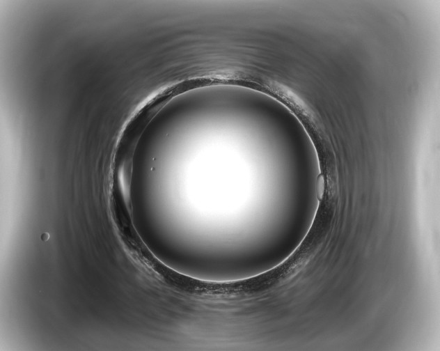 X0000085780532200703161208