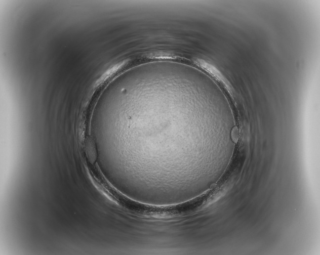 X0000085780533200703161208