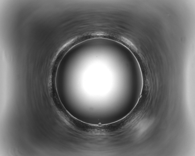 X0000085780535200703161208