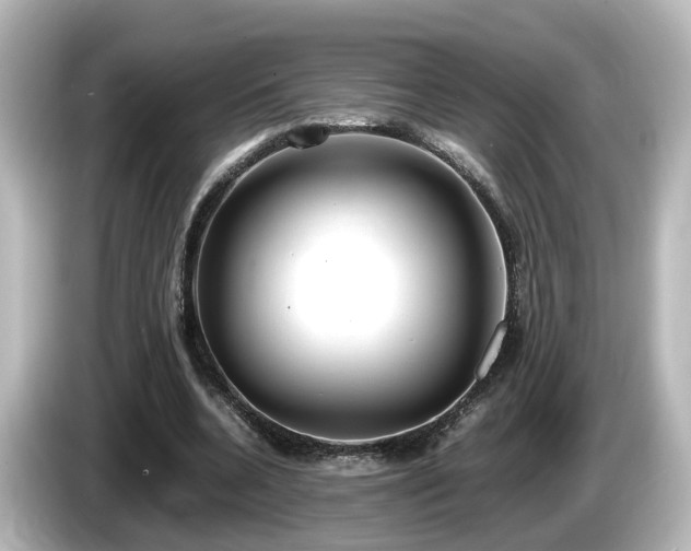 X0000085780536200703161208