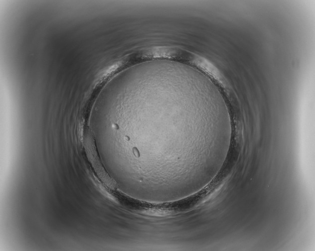 X0000085780537200703161208