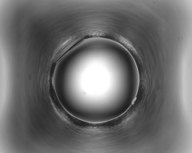 X0000085780538200703161209