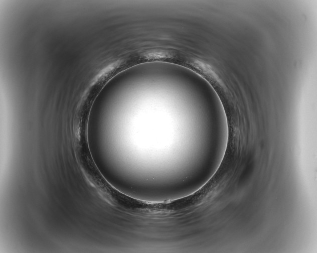 X0000085780539200703161209