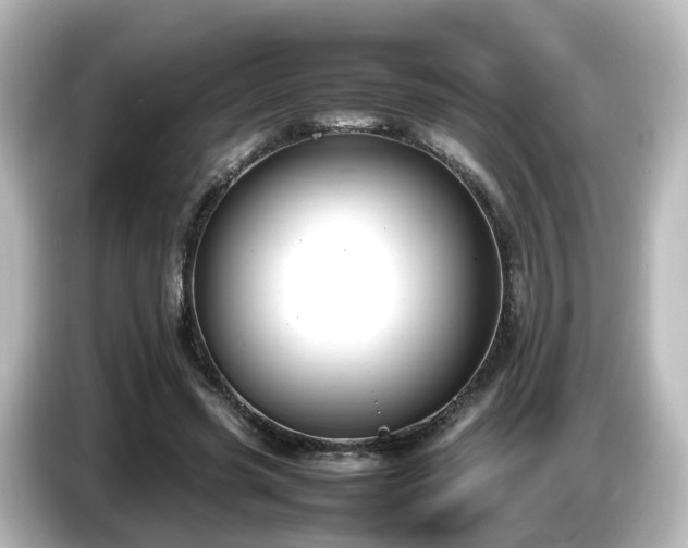 X0000085780541200703161209