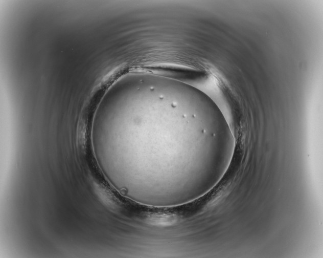 X0000085780542200703161209