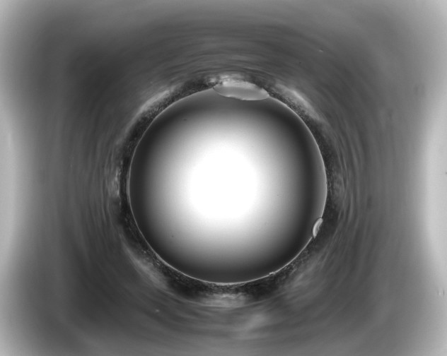 X0000085780543200703161209