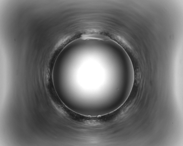 X0000085780544200703161209