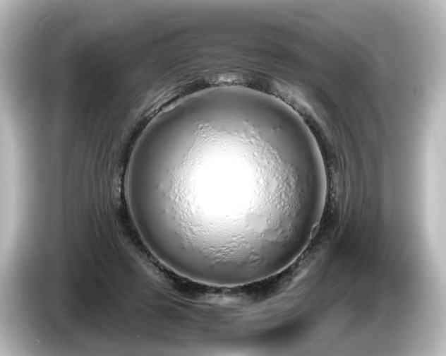 X0000085780545200703161209