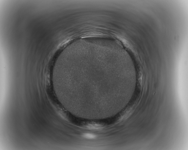 X0000085780547200703161209