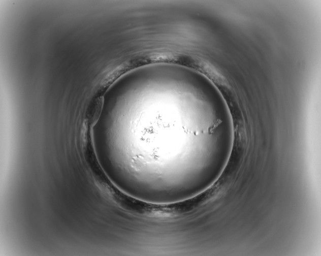 X0000085780550200703161209