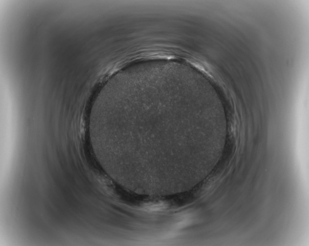 X0000085780551200703161209