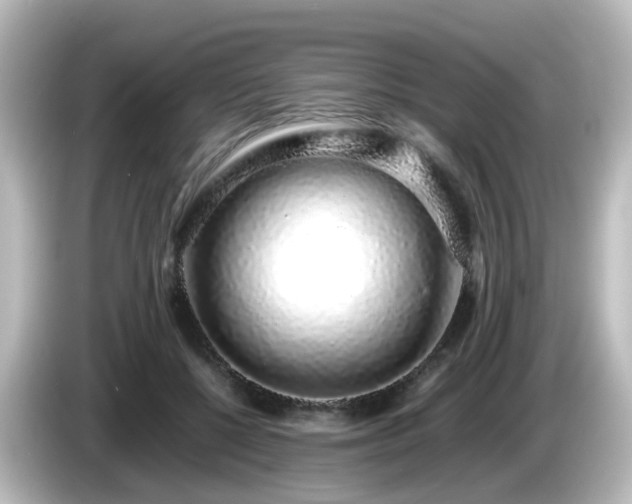 X0000085780552200703161209