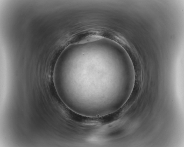 X0000085780553200703161209