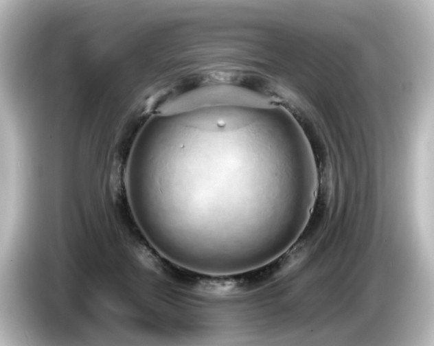 X0000085780554200703161209