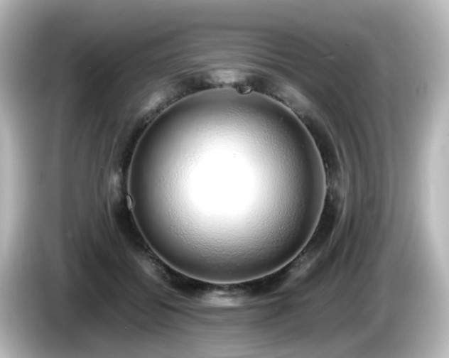 X0000085780556200703161209