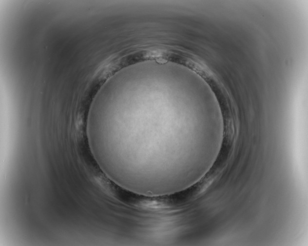 X0000085780557200703161209