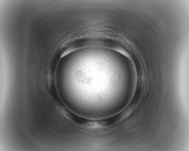 X0000085780558200703161209