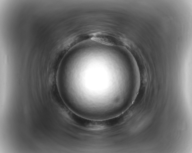 X0000085780559200703161209