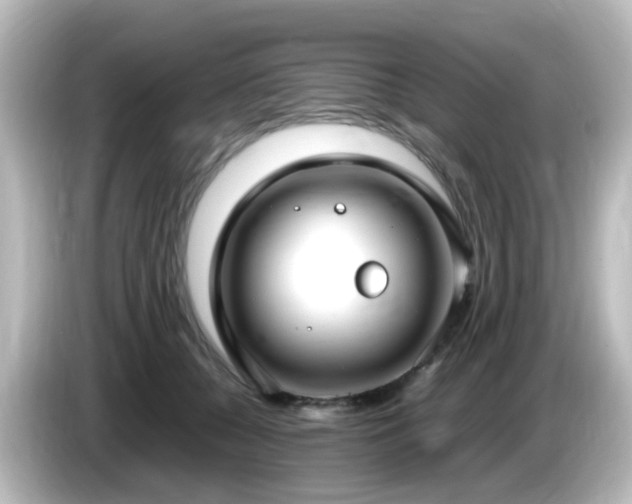 X0000085780560200703161209