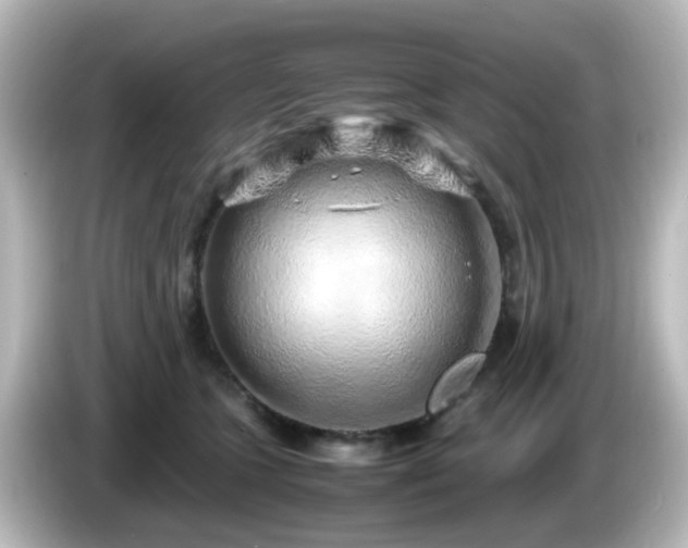 X0000085780563200703161209