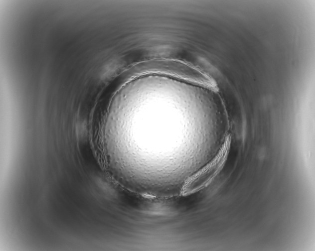 X0000085780564200703161209