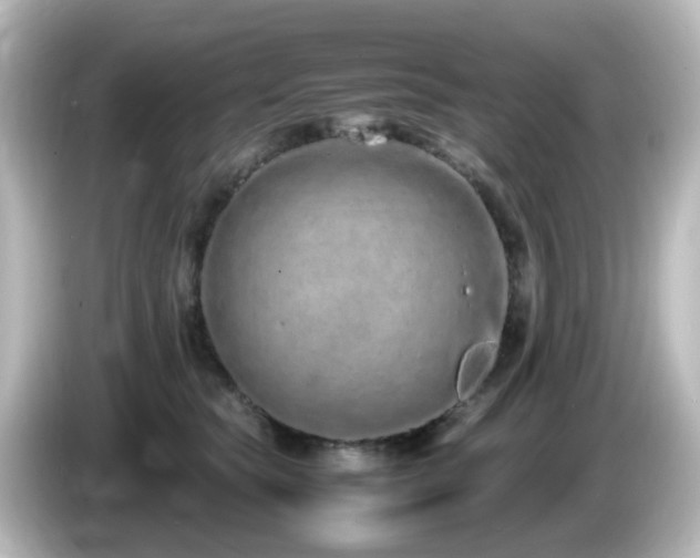 X0000085780565200703161209