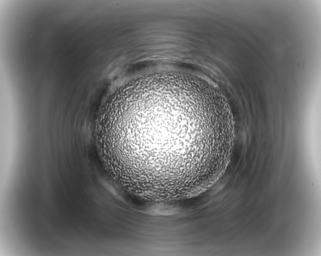 X0000085780568200703161209